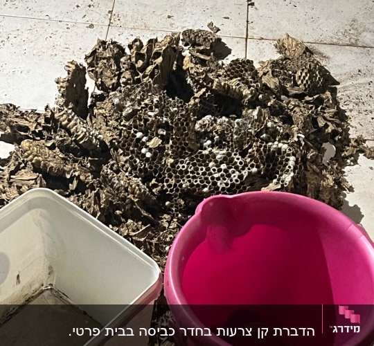 כוורת הרוסה על הרצפה עם דליים